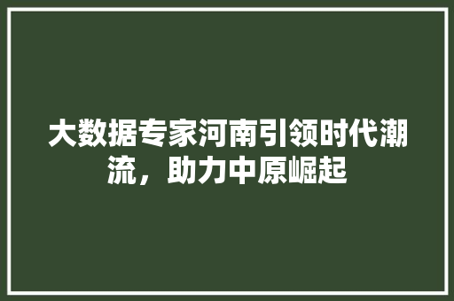 大数据专家河南引领时代潮流，助力中原崛起  第1张