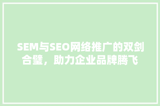 SEM与SEO网络推广的双剑合璧，助力企业品牌腾飞