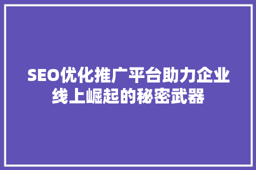 SEO优化推广平台助力企业线上崛起的秘密武器