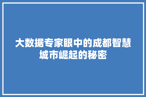 大数据专家眼中的成都智慧城市崛起的秘密  第1张