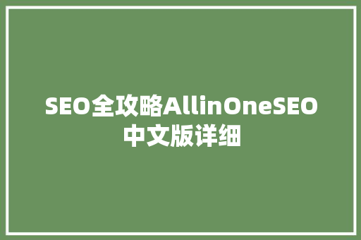 SEO全攻略AllinOneSEO中文版详细