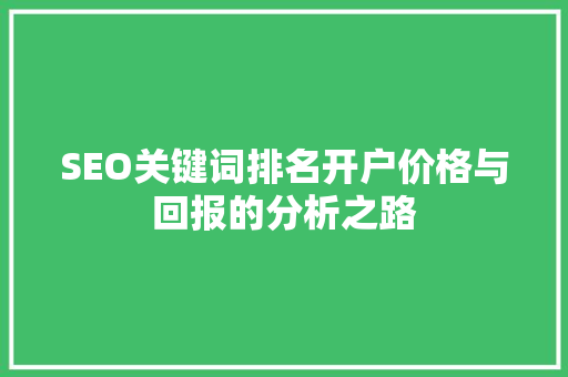 SEO关键词排名开户价格与回报的分析之路