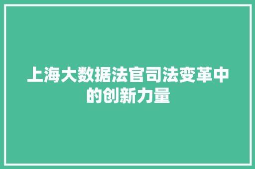 上海大数据法官司法变革中的创新力量