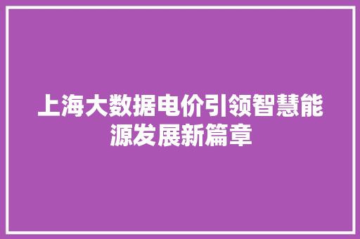 上海大数据电价引领智慧能源发展新篇章
