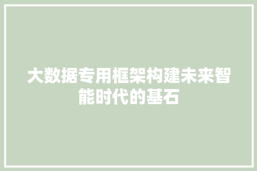 大数据专用框架构建未来智能时代的基石  第1张