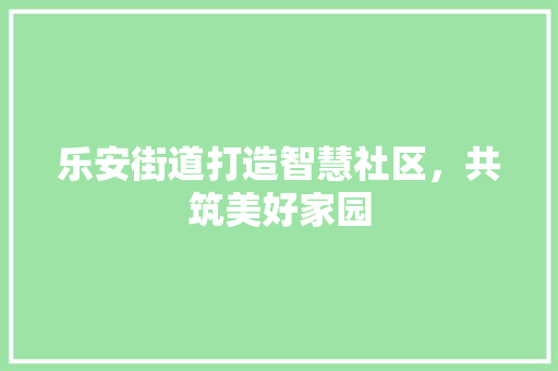 乐安街道打造智慧社区，共筑美好家园