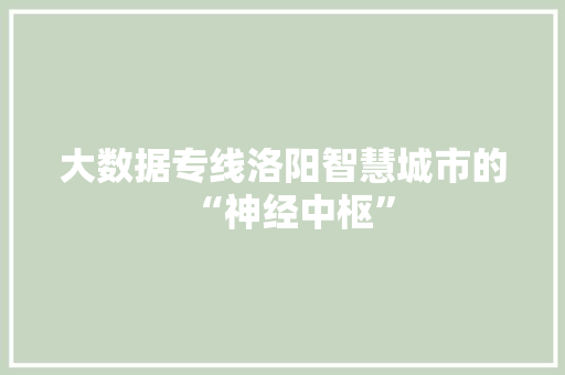 大数据专线洛阳智慧城市的“神经中枢”  第1张