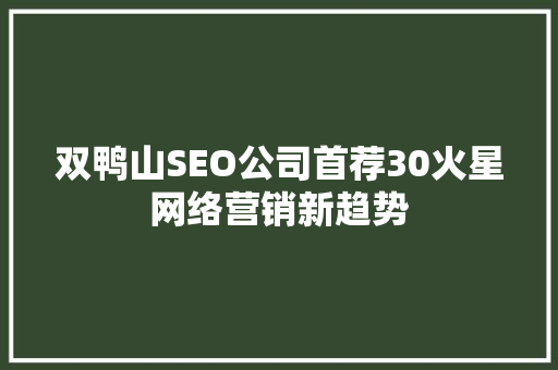 双鸭山SEO公司首荐30火星网络营销新趋势