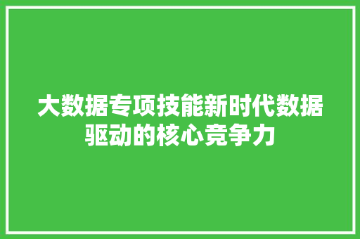 大数据专项技能新时代数据驱动的核心竞争力  第1张