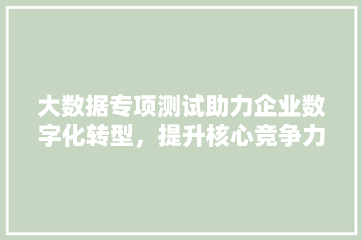 大数据专项测试助力企业数字化转型，提升核心竞争力  第1张