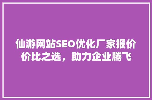 仙游网站SEO优化厂家报价价比之选，助力企业腾飞