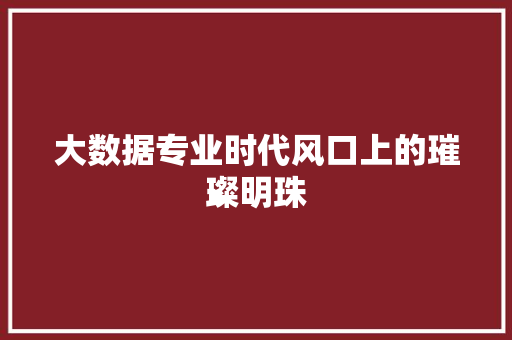 大数据专业时代风口上的璀璨明珠  第1张