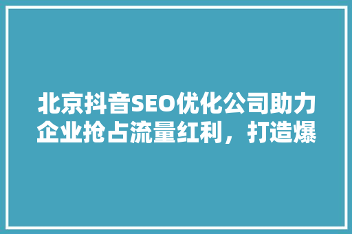北京抖音SEO优化公司助力企业抢占流量红利，打造爆款短视频