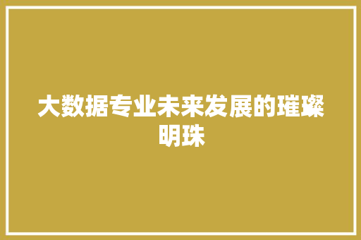 大数据专业未来发展的璀璨明珠  第1张