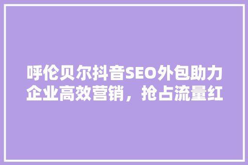 呼伦贝尔抖音SEO外包助力企业高效营销，抢占流量红利