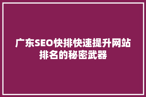 广东SEO快排快速提升网站排名的秘密武器