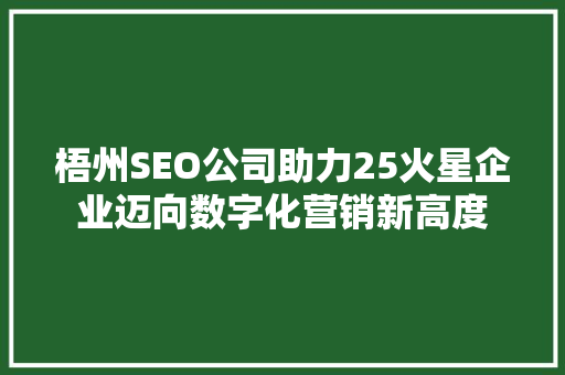 梧州SEO公司助力25火星企业迈向数字化营销新高度