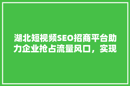 湖北短视频SEO招商平台助力企业抢占流量风口，实现品牌飞跃