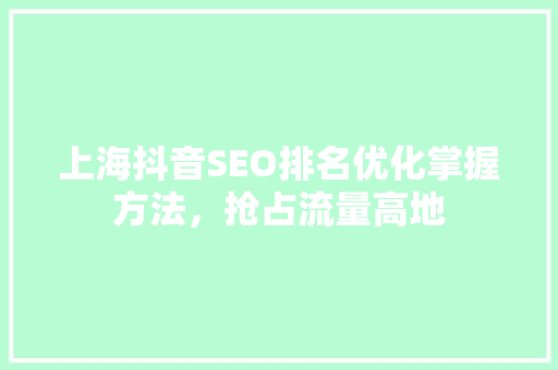 上海抖音SEO排名优化掌握方法，抢占流量高地