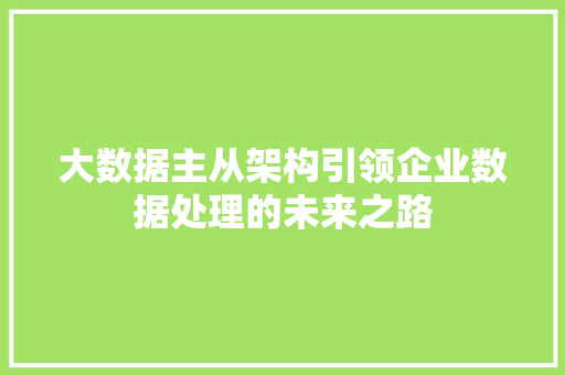 大数据主从架构引领企业数据处理的未来之路