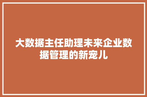 大数据主任助理未来企业数据管理的新宠儿