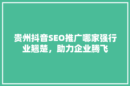 贵州抖音SEO推广哪家强行业翘楚，助力企业腾飞