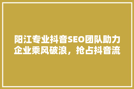 阳江专业抖音SEO团队助力企业乘风破浪，抢占抖音流量高地