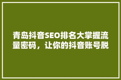 青岛抖音SEO排名大掌握流量密码，让你的抖音账号脱颖而出
