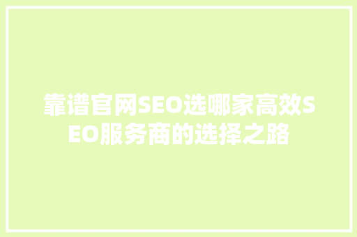 靠谱官网SEO选哪家高效SEO服务商的选择之路