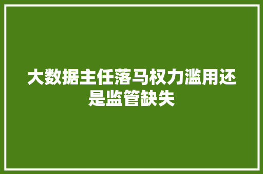 大数据主任落马权力滥用还是监管缺失  第1张