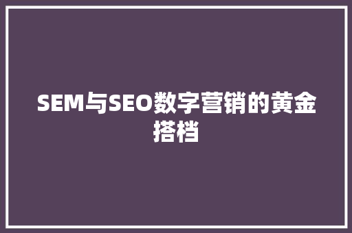 SEM与SEO数字营销的黄金搭档