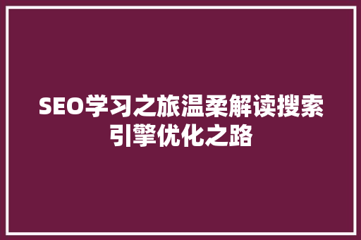 SEO学习之旅温柔解读搜索引擎优化之路