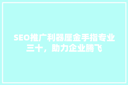 SEO推广利器厘金手指专业三十，助力企业腾飞