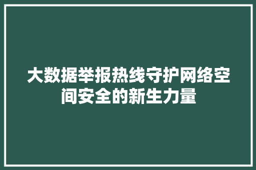 大数据举报热线守护网络空间安全的新生力量