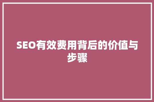 SEO有效费用背后的价值与步骤