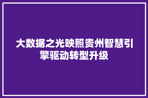 大数据之光映照贵州智慧引擎驱动转型升级  第1张