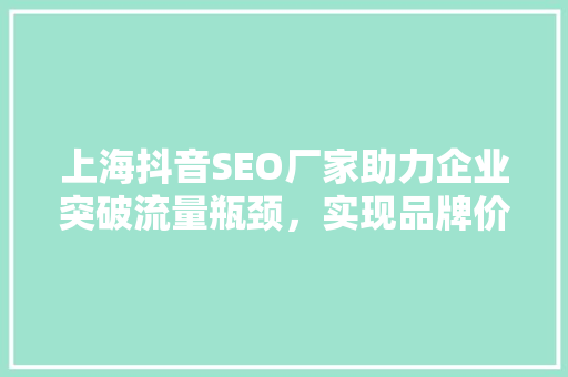 上海抖音SEO厂家助力企业突破流量瓶颈，实现品牌价值飞跃