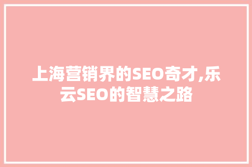 上海营销界的SEO奇才,乐云SEO的智慧之路