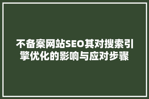 不备案网站SEO其对搜索引擎优化的影响与应对步骤
