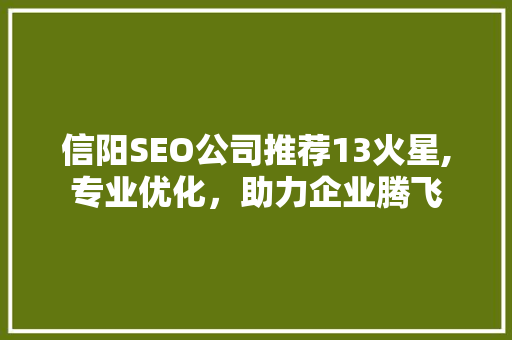 信阳SEO公司推荐13火星,专业优化，助力企业腾飞