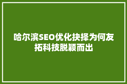哈尔滨SEO优化抉择为何友拓科技脱颖而出