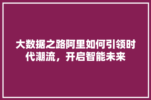大数据之路阿里如何引领时代潮流，开启智能未来  第1张