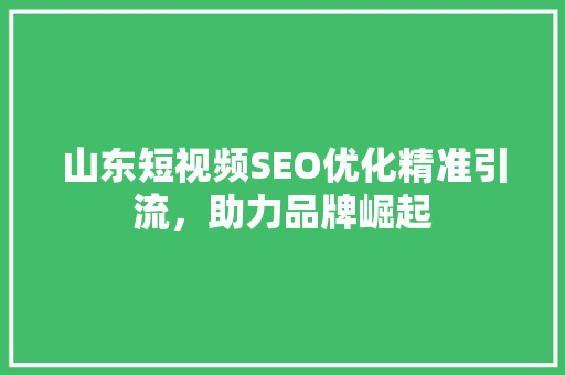山东短视频SEO优化精准引流，助力品牌崛起
