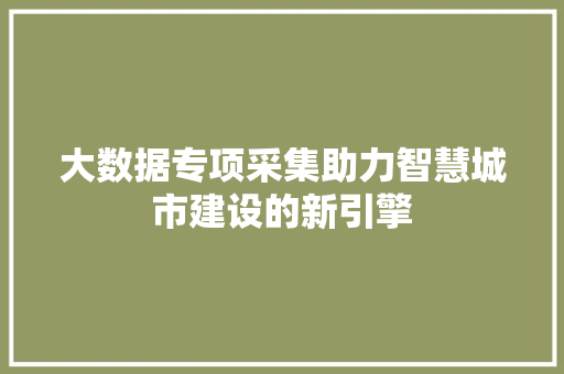 大数据专项采集助力智慧城市建设的新引擎  第1张