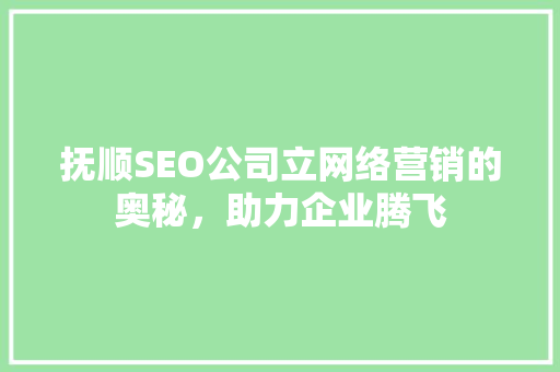 抚顺SEO公司立网络营销的奥秘，助力企业腾飞