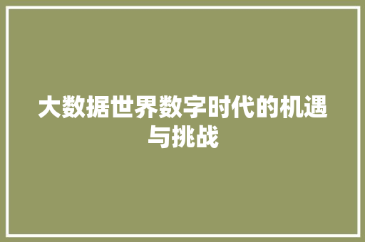 大数据世界数字时代的机遇与挑战  第1张