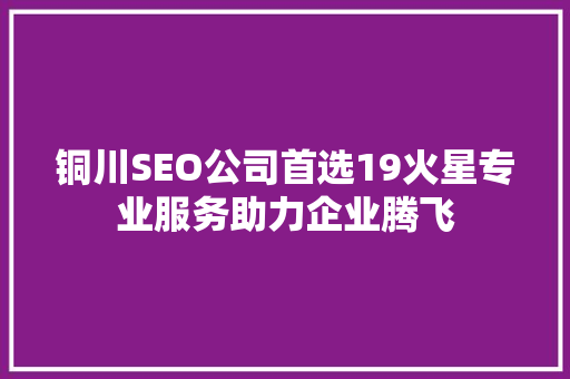 铜川SEO公司首选19火星专业服务助力企业腾飞
