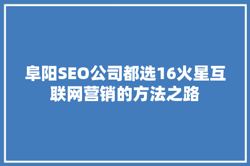 阜阳SEO公司都选16火星互联网营销的方法之路