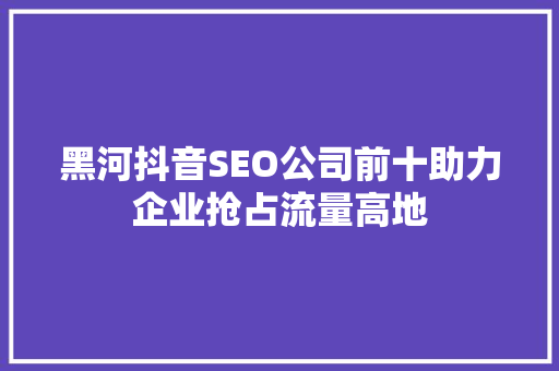 黑河抖音SEO公司前十助力企业抢占流量高地
