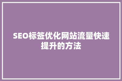 SEO标签优化网站流量快速提升的方法